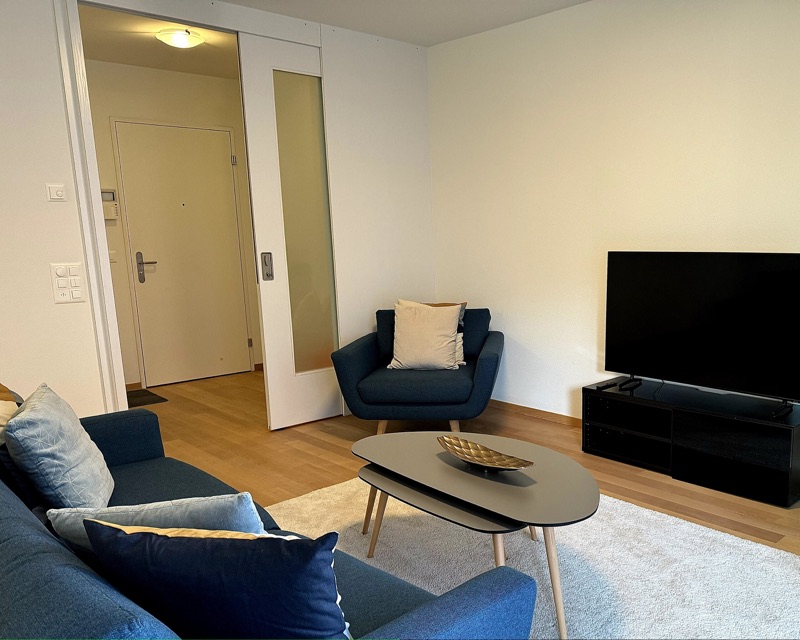 Living room – Eichwaldstrasse, Zug