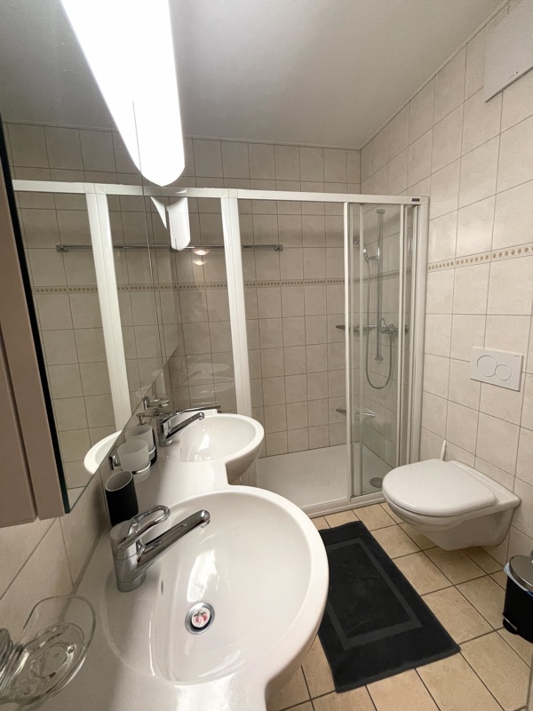 Bathroom – Eichwaldstrasse, Zug